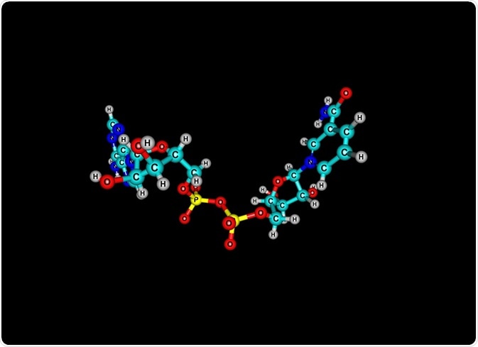 nad structure