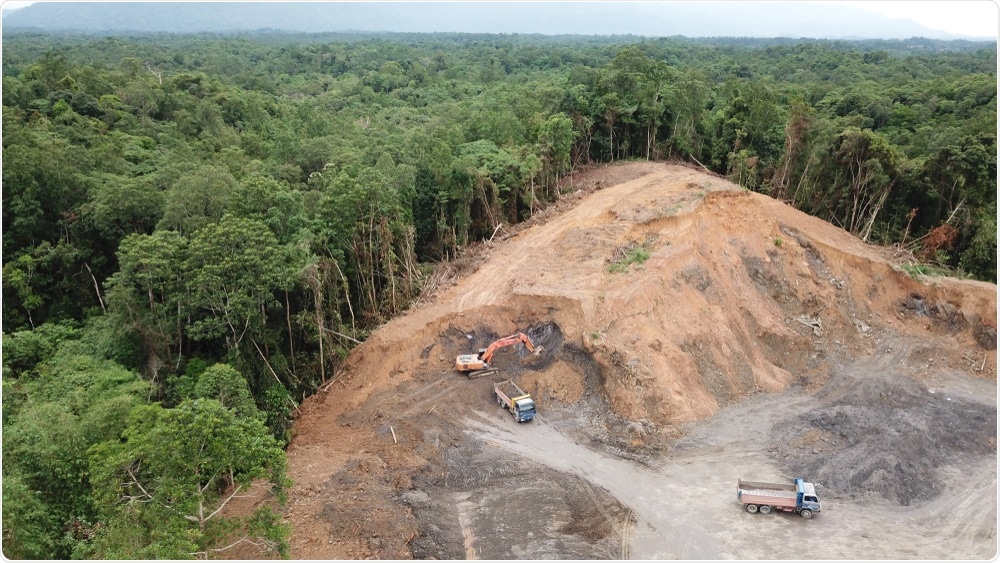 why-are-we-still-failing-to-stop-deforestation