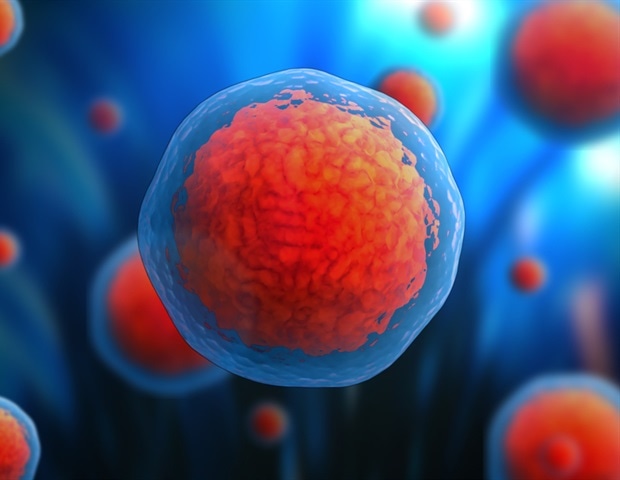 How could Stem Cells be Used in Drug Discovery?