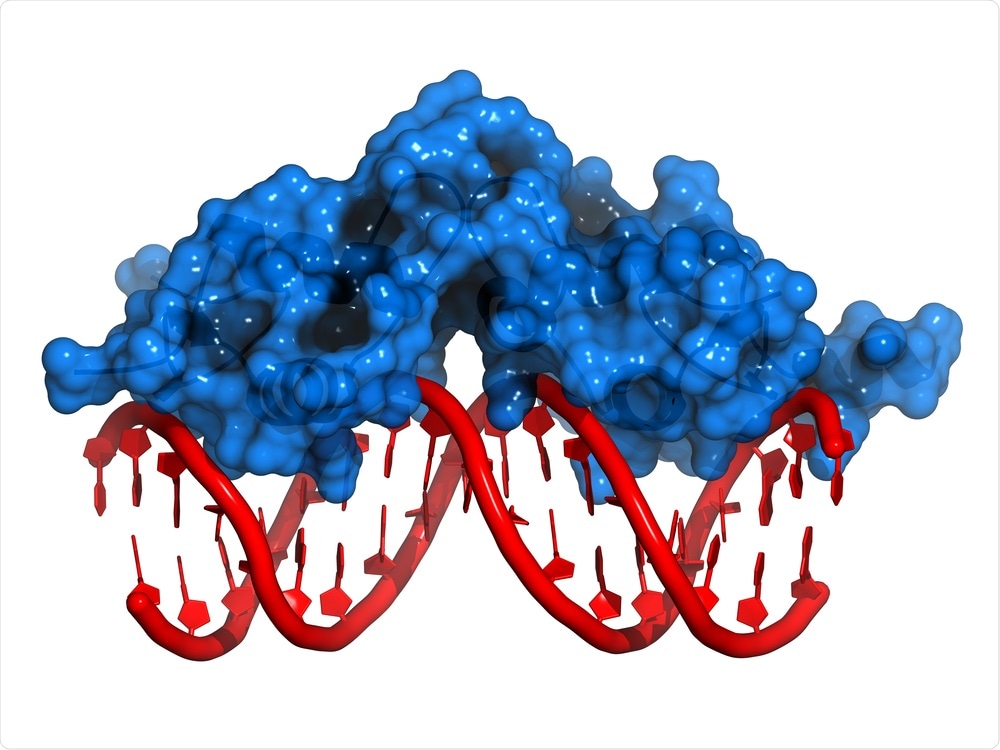 new-imaging-techniques-reveal-individual-transcription-proteins