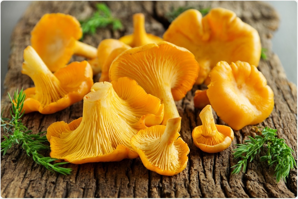 Chanterelle Mushrooms as a Taste Enhancer